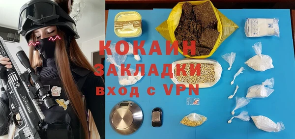 шишки Бородино