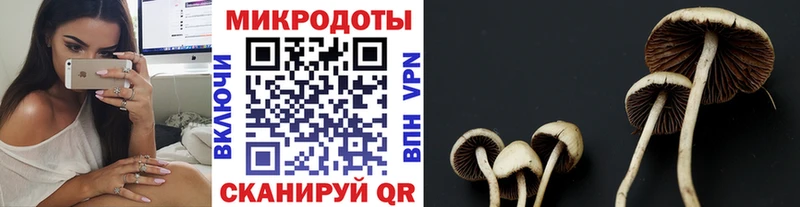 Галлюциногенные грибы Psilocybine cubensis что такое наркотик Кизел